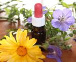 aromatherapy, arthritis therapy, arthritis complementary therapy, aromatherapy evidence, penny price aromatherapy, arthritis digest