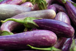 aubergine  Alice Henneman