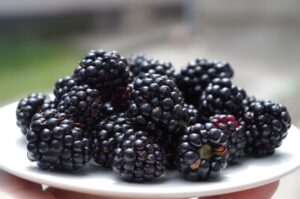 flavonols, blackberry, apple, osteoporosis, frailty, bone health, arthritis news