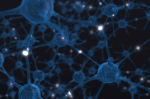fibromyalgia brain connectivity neuron
