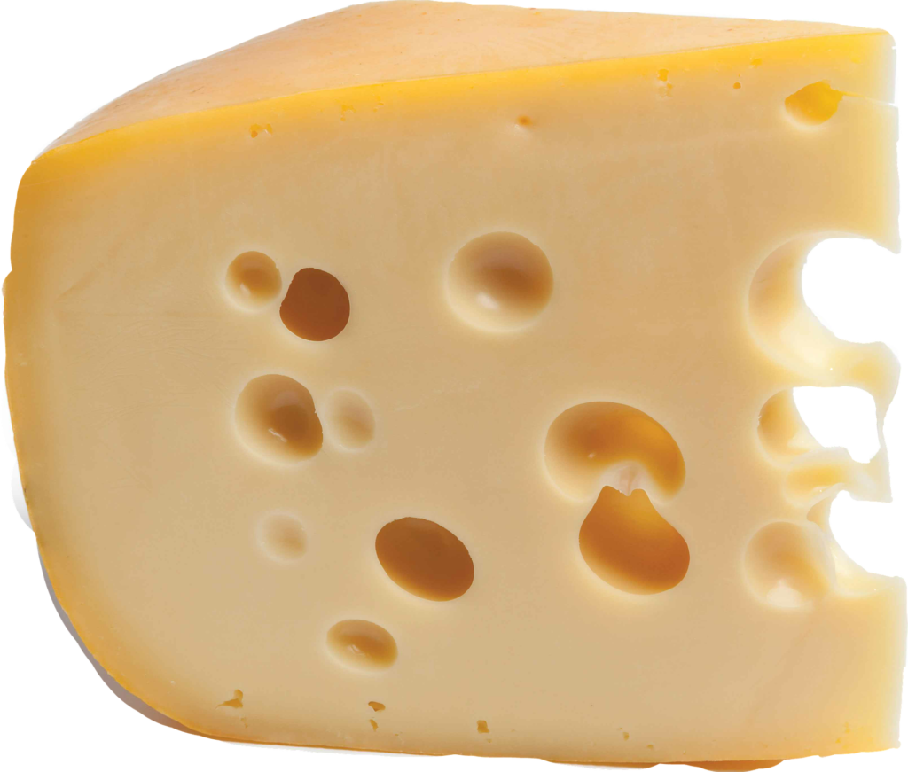 Small daily portion of Jarlsberg cheese may stave off bone thinning ...