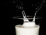 dairy, vitamin D, osteoporosis, bone loss, osteoporosis information