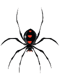 chronic pain spider venom poison