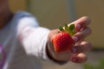 strawberries arthritis, berries arthritis, arthritis diet, arthritis food, inflammation diet