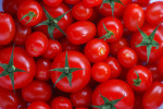 tomato gout arthritis digest magazine