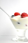 lupus probiotic bacteria yogurt yoghurt